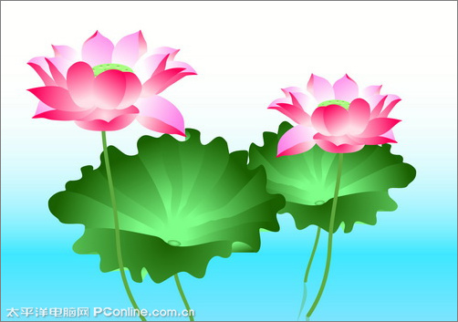 Illustrator CS3绘制矢量荷花插画