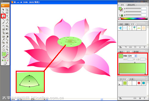Illustrator CS3绘制矢量荷花插画