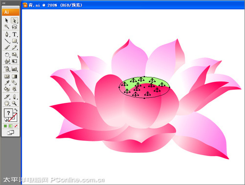 Illustrator CS3绘制矢量荷花插画