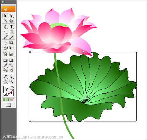 Illustrator CS3绘制矢量荷花插画