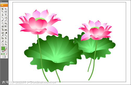 Illustrator CS3绘制矢量荷花插画