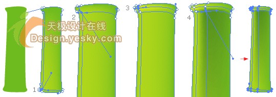 Illustrator矢量绘制实例：清新翠竹（图二）