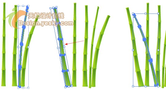 Illustrator矢量绘制实例：清新翠竹（图六）