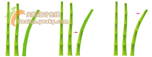 Illustrator矢量绘制实例：清新翠竹（图五）