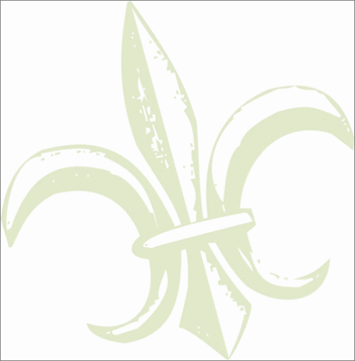 用CorelDraw在T恤框架中设计花纹_天极设计在线整理转载