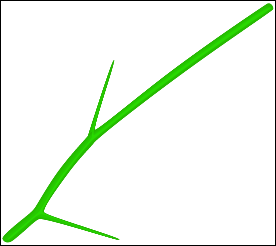\