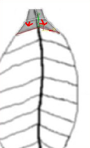 \