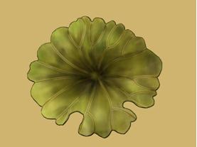 Maya动画教程：水墨动画《荷塘月色》制作流程_中国教程网