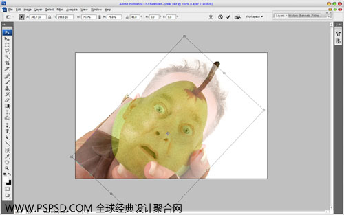 Photoshop合成教程：人面鸭梨创建技巧_中国教程网