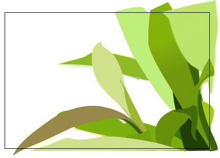 Illustrator教程:绘制绿色的叶子_网页教学网webjx.com
