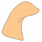 \