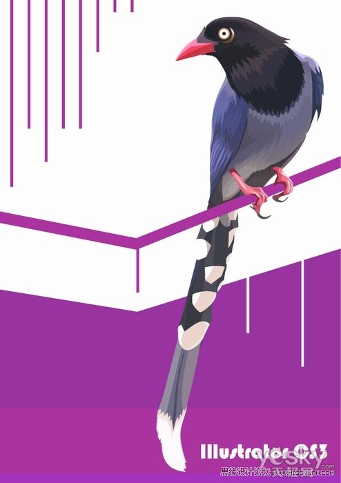Illustrator色阶画法精细绘制鸟类插画,PS教程,思缘教程网
