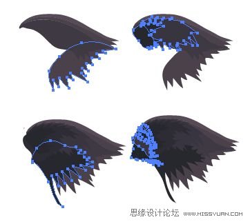 Illustrator色阶画法精细绘制鸟类插画,PS教程,思缘教程网