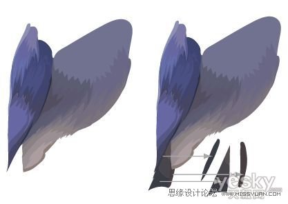 Illustrator色阶画法精细绘制鸟类插画,PS教程,思缘教程网