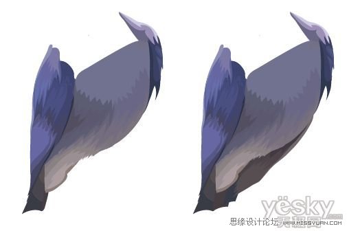 Illustrator色阶画法精细绘制鸟类插画,PS教程,思缘教程网