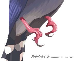 Illustrator色阶画法精细绘制鸟类插画,PS教程,思缘教程网