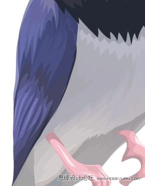 Illustrator色阶画法精细绘制鸟类插画,PS教程,思缘教程网