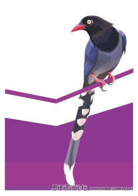 Illustrator色阶画法精细绘制鸟类插画,PS教程,思缘教程网