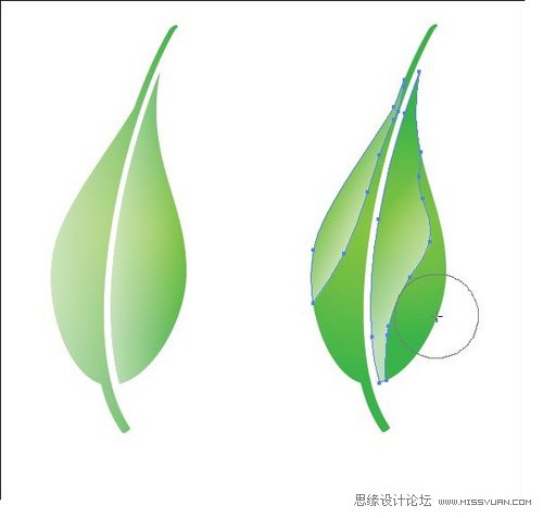 Illustrator创作自然景观矢量图封面,PS教程,思缘教程网