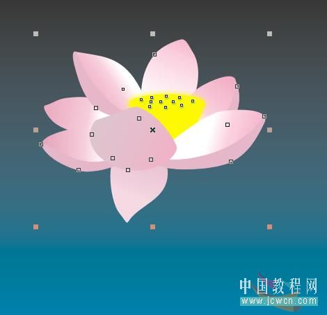 CorelDRAW绘卡通风格荷花_天极设计在线整理