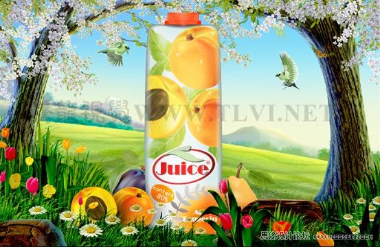 Illustrator CS5教程：通过蒙版功能制作饮料海报,PS教程,思缘教程网