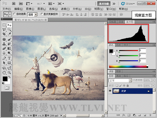 Photoshop CS5教程：解析色阶在图像调整中的作用,PS教程,思缘教程网