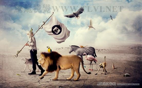 Photoshop CS5教程：解析色阶在图像调整中的作用,PS教程,思缘教程网