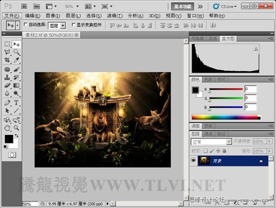 Photoshop CS5教程：解析色阶在图像调整中的作用,PS教程,思缘教程网