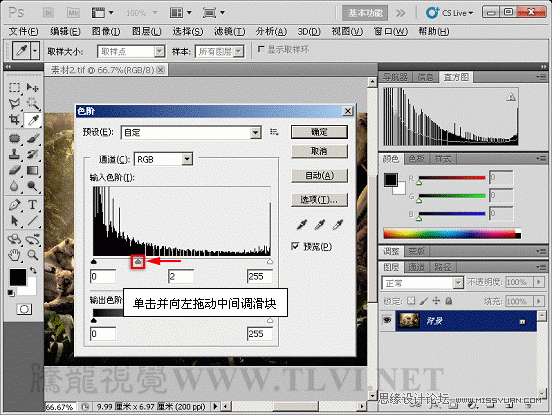 Photoshop CS5教程：解析色阶在图像调整中的作用,PS教程,思缘教程网