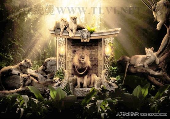 Photoshop CS5教程：解析色阶在图像调整中的作用,PS教程,思缘教程网