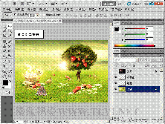 Photoshop CS5教程：解析色阶在图像调整中的作用,PS教程,思缘教程网