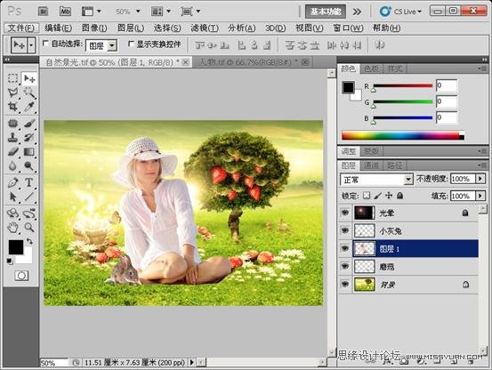Photoshop CS5教程：解析色阶在图像调整中的作用,PS教程,思缘教程网