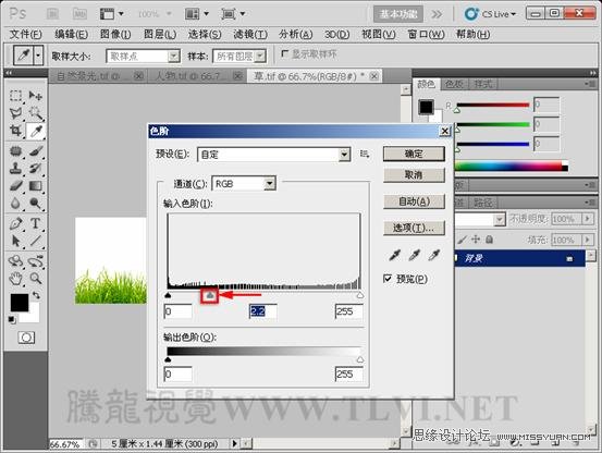 Photoshop CS5教程：解析色阶在图像调整中的作用,PS教程,思缘教程网