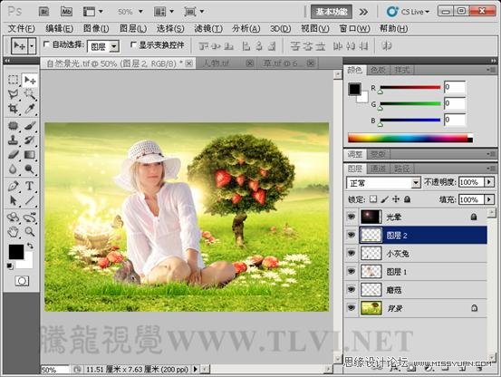Photoshop CS5教程：解析色阶在图像调整中的作用,PS教程,思缘教程网