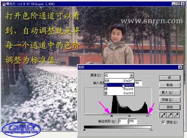 图片点击可在新窗口打开查看