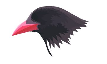 \