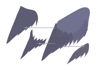 \