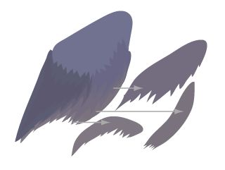 \