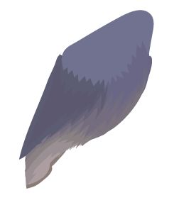 \