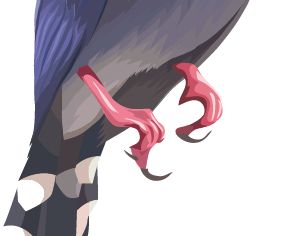 \