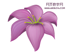 Illustrator渐变网格绘制紫百合-网页教学网
