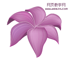 Illustrator渐变网格绘制紫百合-网页教学网