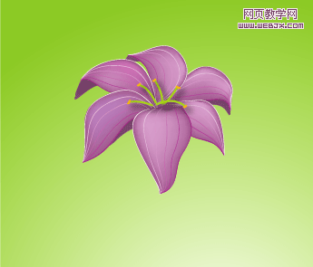 Illustrator渐变网格绘制紫百合-网页教学网