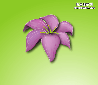 Illustrator渐变网格绘制紫百合-网页教学网