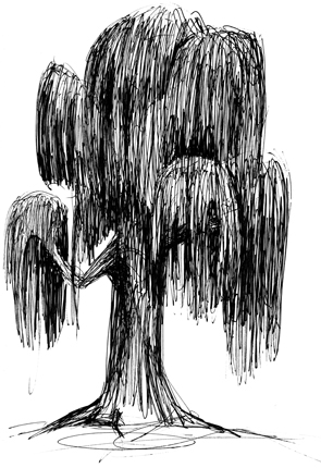 \