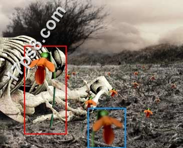 Photoshop制作外星人的遗体照片