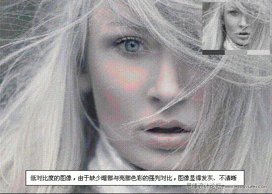 Photoshop初学者教程：解析亮度对比度的原理,PS教程,思缘教程网