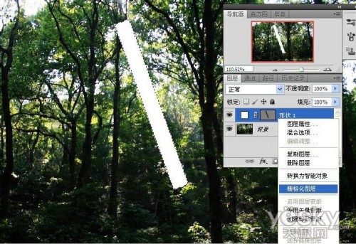 Photoshop制作树林中的透射光线,PS教程,思缘教程网