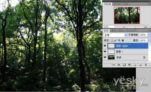 Photoshop制作树林中的透射光线,PS教程,思缘教程网