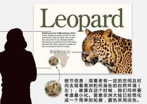 如何设计更吸引人的展示牌,PS教程,思缘教程网